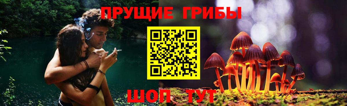 Галлюциногенные грибы MAGIC MUSHROOMS  Вход с VPN  Краснокаменск 