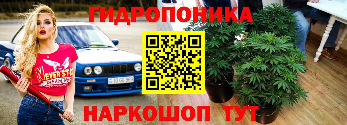 Бошки Шишки гибрид  Вход с VPN  Канабис Bruce Banner  Канабис THC 21%  Краснокаменск 